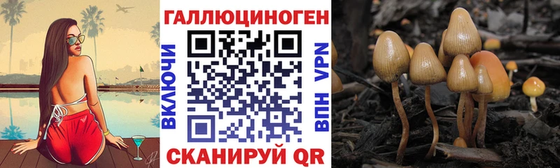 цена   мега онион  Галлюциногенные грибы MAGIC MUSHROOMS  Кирово-Чепецк 